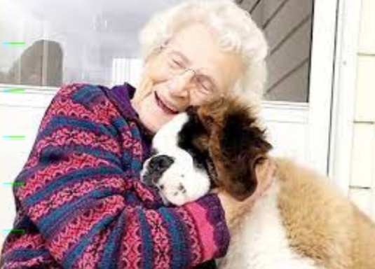 Las recidencias geriátricas podrán recibir mascotas