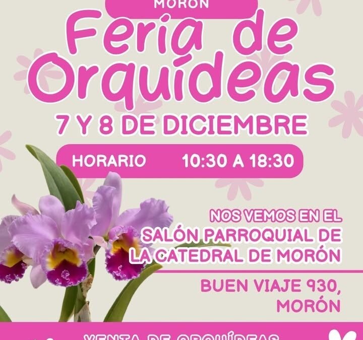 Exposición de Orquídeas en la Catedral de Morón