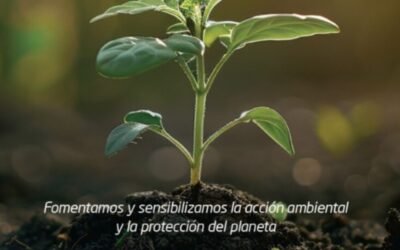 MORON CONMEMORA EL DIA MUNDIAL DEL MEDIO AMBIENTE EN PLAZA LA ROCHE