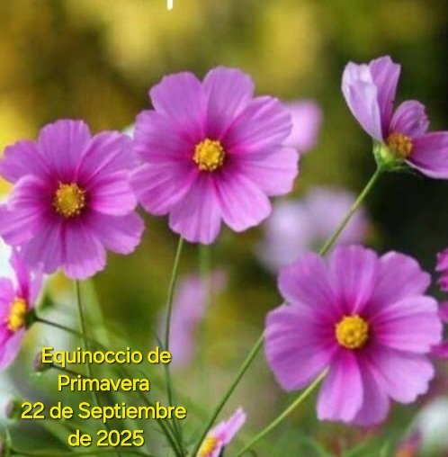 LA PRIMAVERA LLEGARA MAÑANA 22 DE SEPTIEMBRE