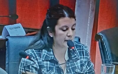 VANINA MORO DIO SU VOTO NEGATIVO PARA LA INTERPELACION DEL INTENDENTE LUCAS GHI EN EL HCD