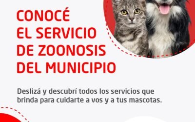 EL MUNICIPIO DE MORON BRINDA SERVICIOS VETERINARIOS GRATUITOS A LA COMUNIDAD MORONENSE