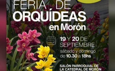 FERIA DE ORQUIDEAS EN EL SALON PARROQUIAL DE LA CATEDRAL DE MORON